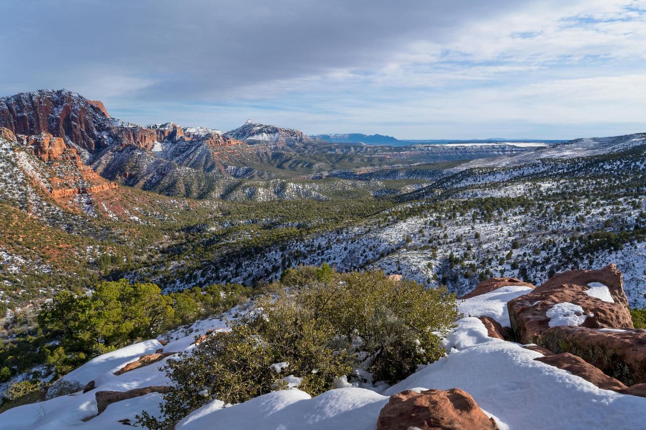 No to Ethnic Studies