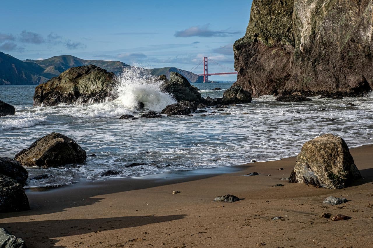 2021 Governor Recall Election Results