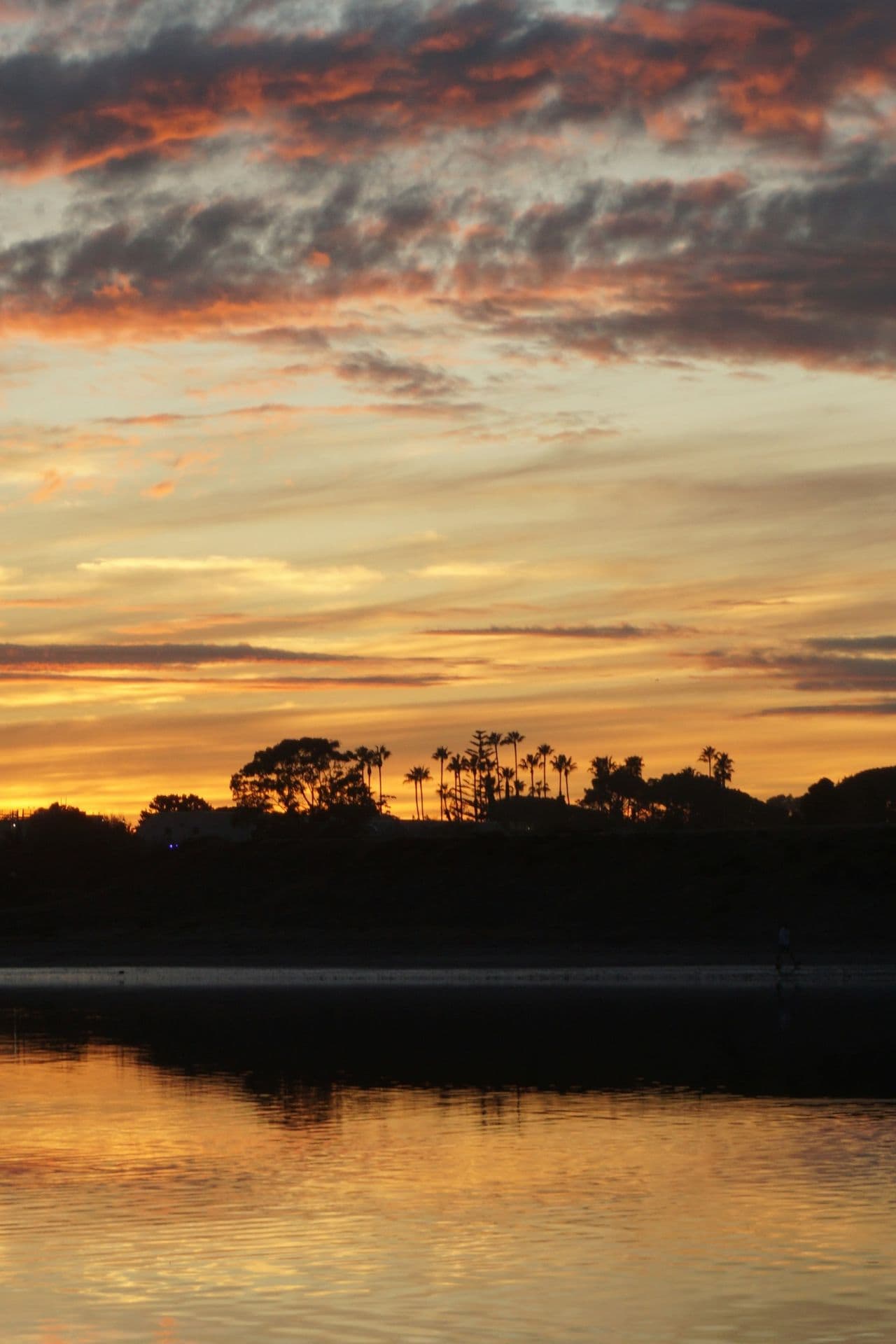 Afghanistan, RIP- Thoughts about Two Wars