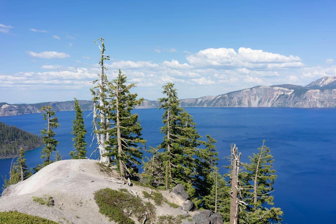 Judicial Watch warns California