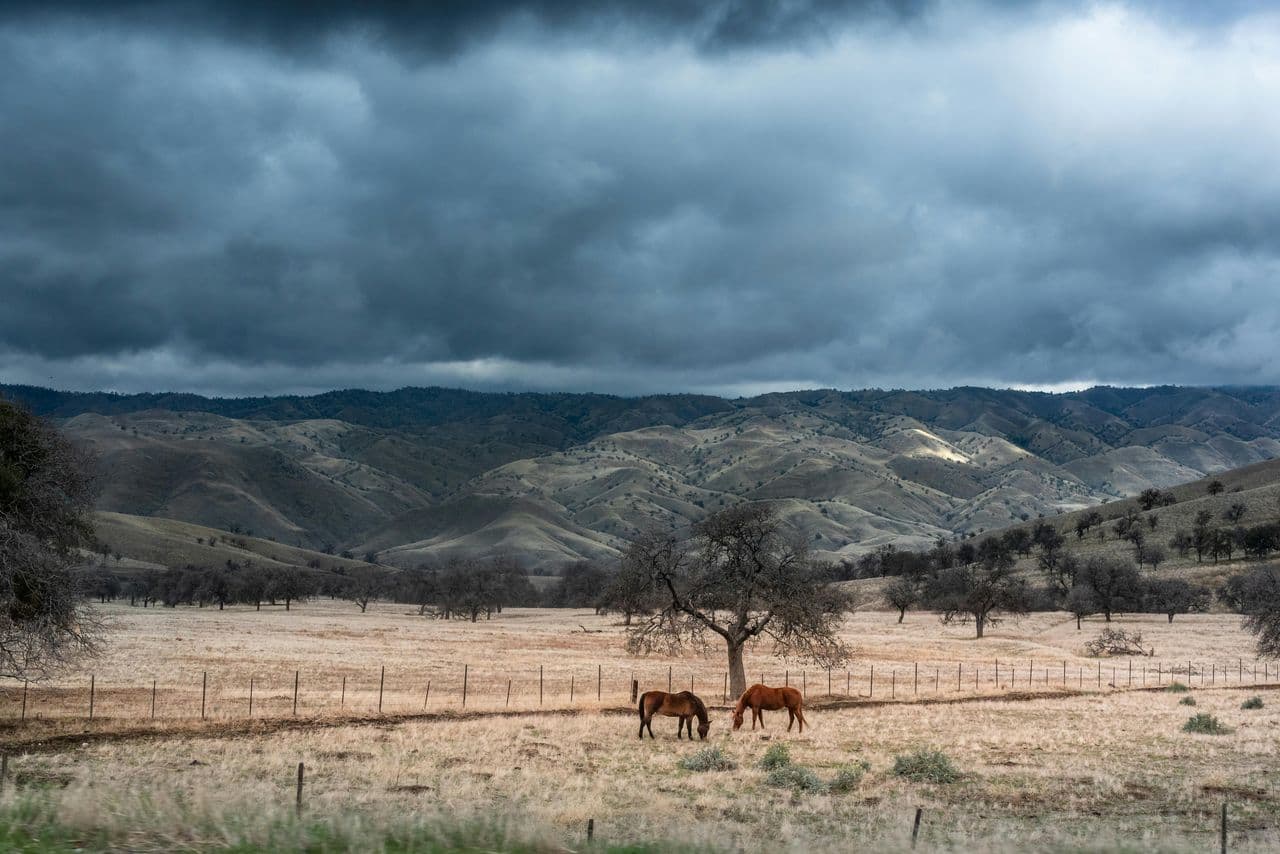 Standing With, and Standing Against