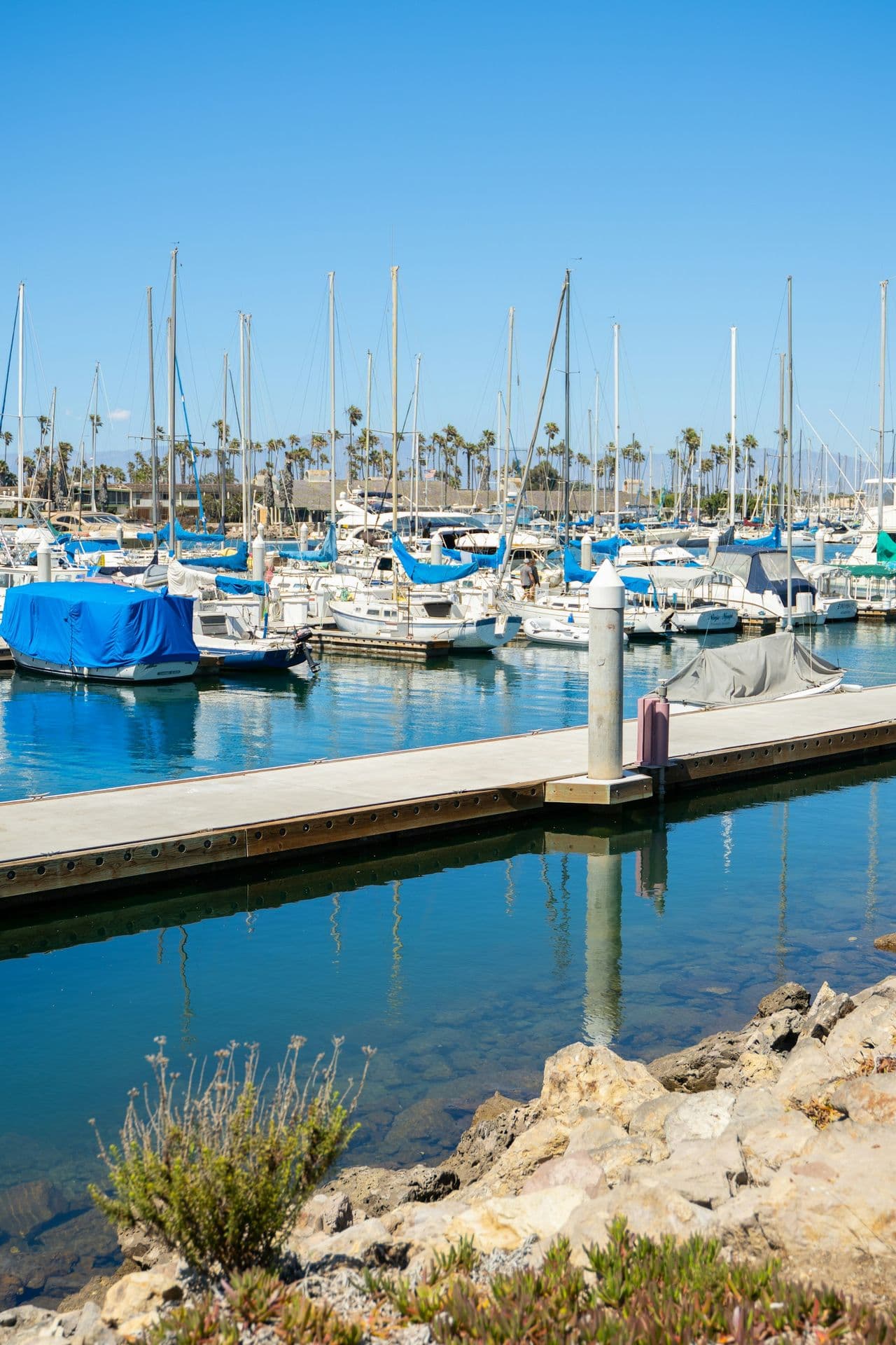 Assemblywoman Catharine Baker discusses Cap and Trade Vote