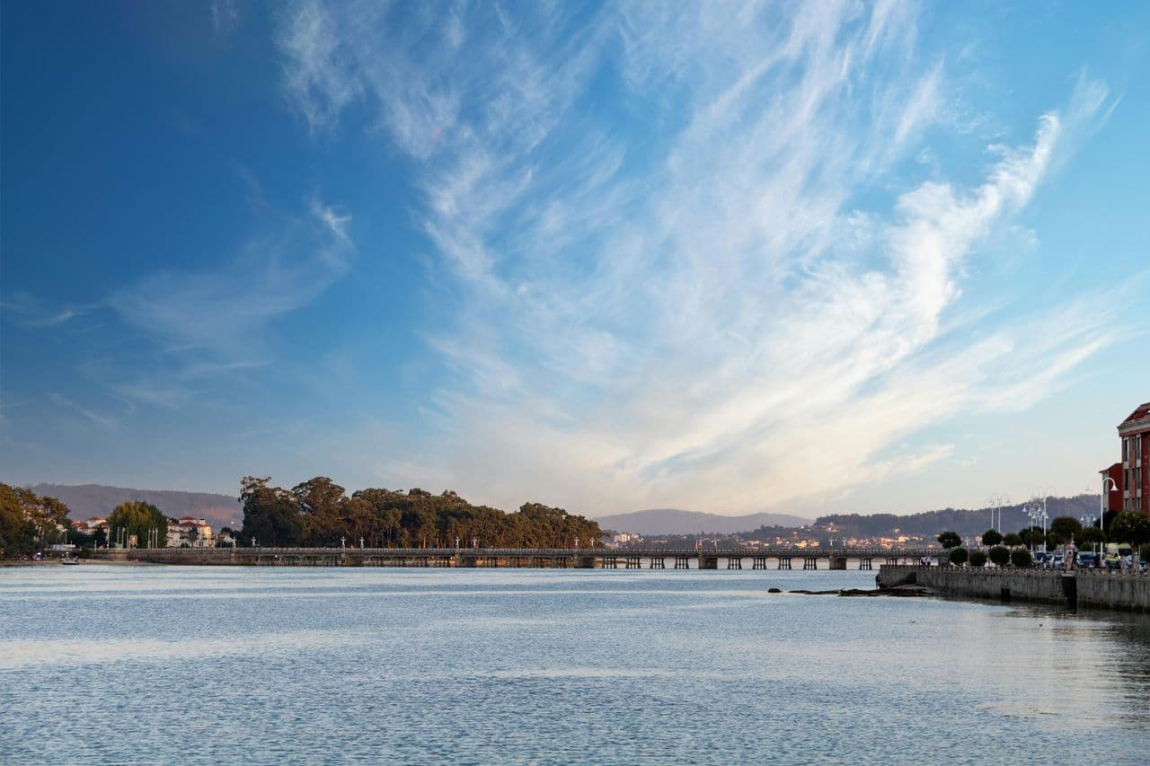 Members and Alternates