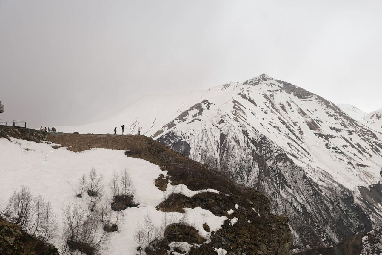 Boards and Commissions