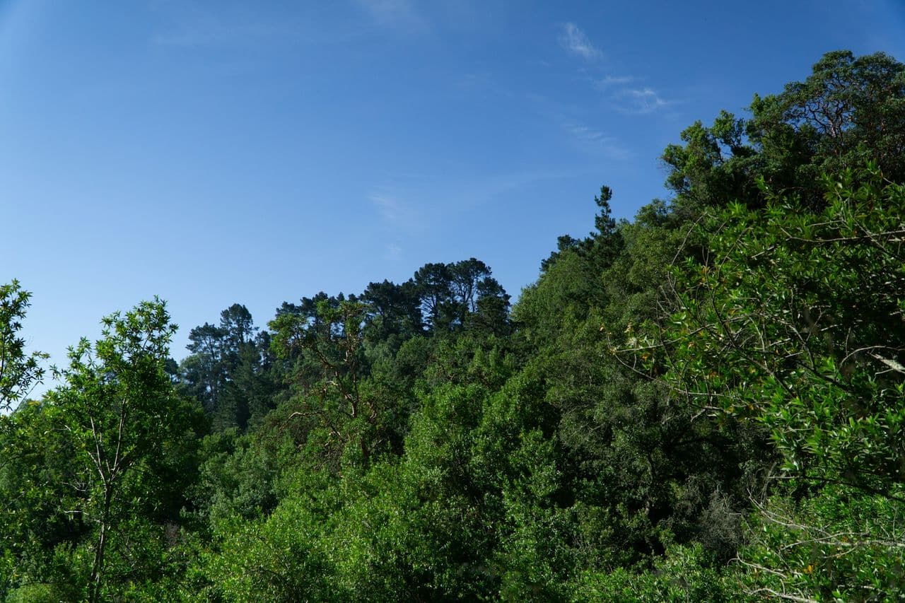 California Republican Party - Spring Convention
