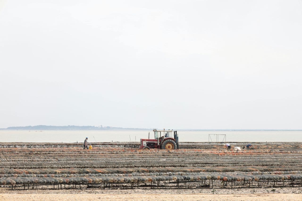 Mindy Responds (Candidate for AD18)